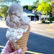Image for article titled Consider the lobster... ice cream